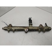 Рампа (рейка) топливная Chrysler Voyager (2001-2007) 2005 0445214041