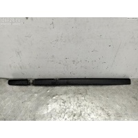 Молдинг двери передней левой Renault Clio III (2005-2012) 2006 8200289909