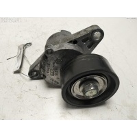 Механизм натяжения ремня, цепи Renault Scenic I (1996-2003) 2002 7700102872