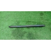 амортизатор двери багажника BMW X5 E70 2007-2013 51247177283