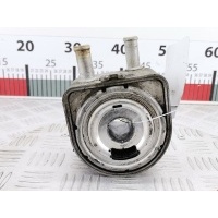 Теплообменник Citroen Jumper_(Relay) 2 (2002-2006) 2003 9650863380,1103N1