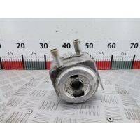 Теплообменник Citroen Berlingo 1 (1996-2012) 2004 9650863380,1103N1
