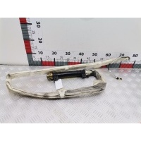 Подушка безопасности боковая (шторка) Mercedes S-Class (W220) (1998-2005) 2000 2208600605,A2208600605
