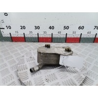 Теплообменник Audi A4 B6 (2000-2006) 2001 172494715,06B117021
