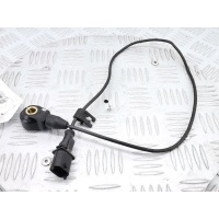 Датчик детонации Opel Signum (2003-2008) 2003 0261231116,24456516