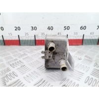 Теплообменник Citroen Xsara Picasso (1999-2012) 2001 9637319180,1103N1