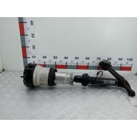 Стойка амортизатора переднего левого (МакФерсон) Mercedes S-Class (W220) (1998-2005) 2002 C086053N6,A2203202438