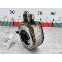 Теплообменник Renault Laguna 1 (1993-2000) 2000 ,7700114239