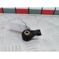Датчик детонации Opel Zafira B (2005-2014) 2008 24435095,93174509