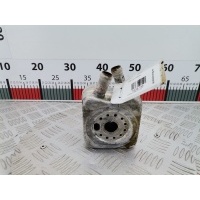Теплообменник Volkswagen Passat 5 GP (2000-2005) 2001 06B117021B,028117021L