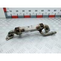Радиатор системы ЕГР Volkswagen Sharan 1 (1995-2010) 2002 038131513,038131513