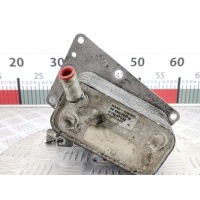 Теплообменник Opel Vectra C (2002-2008) 2005 5989070241,5989070241