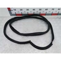 Уплотнитель двери Citroen C5 1 (2000-2008) 2002 ,9334A6