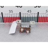 Петля крышки (двери) багажника Chevrolet Captiva 1 (2006-2018) 2008 ,96661618
