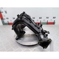Коллектор впускной Renault Clio 2 (1998-2005) 2003 8200064370,8200971751