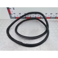 Уплотнитель двери Volkswagen Tiguan 1 (2007-2016) 2009 ,5N0867911