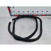 Уплотнитель двери Volkswagen Tiguan 1 (2007-2016) 2009 5N0867913,5N0867913