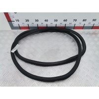 Уплотнитель двери Volkswagen Tiguan 1 (2007-2016) 2009 5N0867911,5N0867911