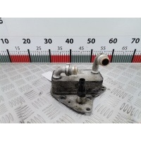 Теплообменник Opel Insignia 1 (2008-2017) 2009 6534234,13500120