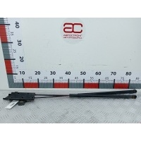 Амортизатор капота Renault Midlum (1999-2013) 2004 6222MD,5010468464