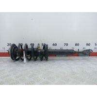 Стойка амортизатора переднего левого (МакФерсон) Volkswagen Passat 5 (1996-2000) 1999 814903556671,3B0413031P