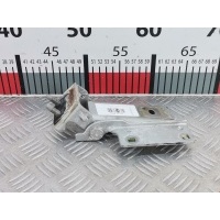 Петля крышки (двери) багажника Peugeot 407 (2004-2010) 2004 ,861397
