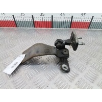 Петля крышки (двери) багажника Land Rover Range_Rover_Sport 1 (2005-2013) 2008