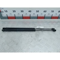Амортизатор крышки багажника Renault Scenic 2 (2003-2009) 2005 7865TV,8200377199