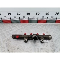 Датчик давления топлива Renault Scenic 2 (2003-2009) 2005 5WS40039,1920GW
