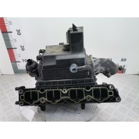 Коллектор впускной Opel Zafira B (2005-2014) 2013 2900315249,55572730