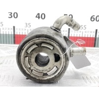 Теплообменник Renault Kangoo 1 (1997-2007) 2005 8200066115A,8200068115