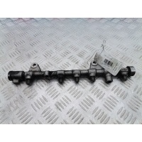 Рампа топливная (топливная рейка) Renault Megane 3 (2008-2016) 2009 0445214158