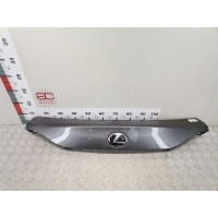 Накладка декоративная (бленда) Lexus CT (2010-2023) 2013 7680176010,7680176010