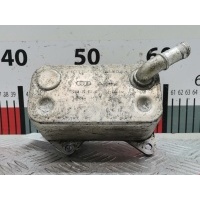 Теплообменник Volkswagen Golf 5 (2003-2008) 2006 06D117021C,06D117021C