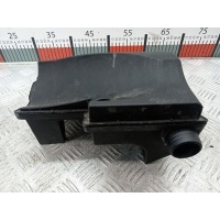 Резонатор воздушного фильтра Mercedes A-Class (W168) (1997-2004) 1999 2900302889,A1661400087