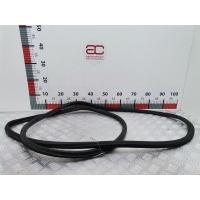 Уплотнитель двери Volkswagen Touareg 1 (2002-2010) 2004