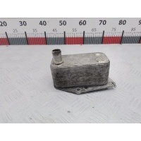 Теплообменник BMW 1-Series (E81/E82/E87/E88) (2004-2014) 2006 5989070102,11427787698