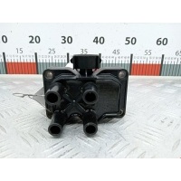 Катушка зажигания Ford Fiesta 5 (2002-2008) 2004 0221503490,1619343