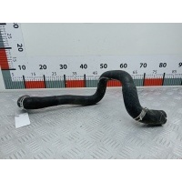 Патрубок системы охлаждения Ford Focus 1 (1998-2005) 2001 98AB8B274AJ,1134581