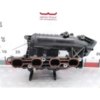 Коллектор впускной Ford Focus 1 (1998-2005) 2001 1S4G9424E1C,1113071