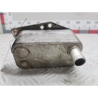 Теплообменник BMW X3 (E83) (2003-2010) 2006 5989070102,11427787698