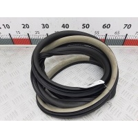 Уплотнитель двери Opel Astra H (2004-2014) 2004 13170856,13170856