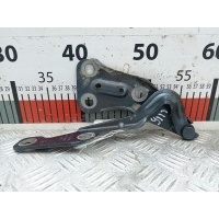 Петля капота левая Opel Astra G (1998-2004) 1998 90521519,90521519