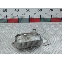 Теплообменник Mercedes A-Class (W168) (1997-2004) 2001 A6681800065,A6681800065