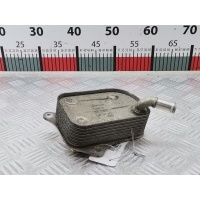 Теплообменник Audi A6 C5 (1997-2005) 2003 172494715,06B117021