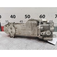 Радиатор системы ЕГР Seat Toledo 3 (2004-2009) 2004 03G131513J,03G131512L