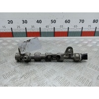 Датчик давления топлива Opel Signum (2003-2008) 2007 0281006158,55576178