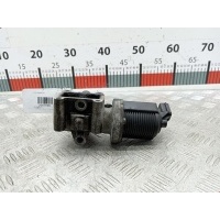 Клапан ЕГР EGR Opel Signum (2003-2008) 2007 50024005,55215031