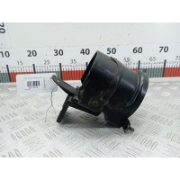 Кронштейн топливного фильтра Opel Meriva A (2003-2010) 2007 13167334,13167334