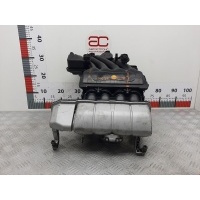 Коллектор впускной Volkswagen Golf 4 (1997-2004) 2001 06A133203CD,06A133203EE